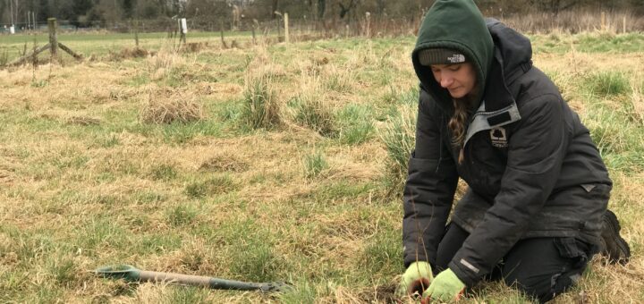 City of Trees and West help plant 1,000 trees on Hardy Farm  